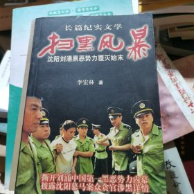 扫黑风暴：沈阳刘涌黑势力覆灭始末