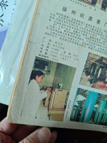 中篇小说选刊1991年 第3期