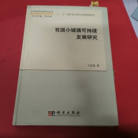 中国软科学研究丛书：我国小城镇可持续发展研究