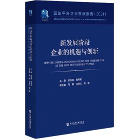 新发展阶段企业的机遇与创新(蓝迪平台企业发展报告2021)