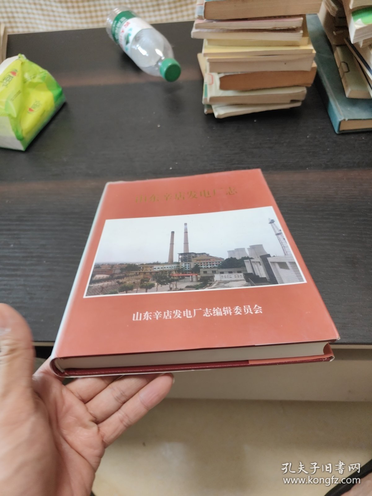 山东辛店发电厂志