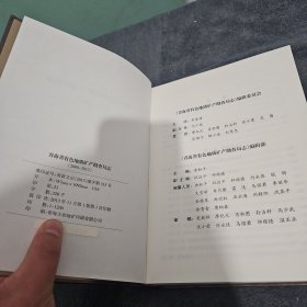 青海省有色地质矿产勘查局志（2008-2012）
