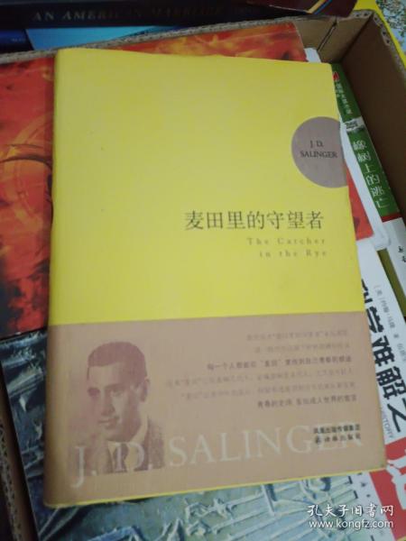 麦田里的守望者 纪念版