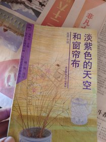 淡紫色的天空和窗帘布:反思小说