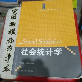 社会统计学/21世纪统计学系列教材