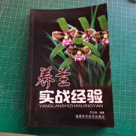 养兰实战经验