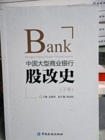 中国大型商业银行股改史(上下卷)