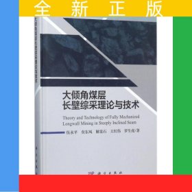 大傾角煤層長壁綜采理論與技術(shù)