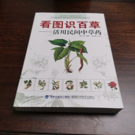 中医书：看图识百草：活用民间中草药 /戴义龙