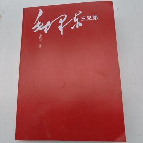 毛泽东三兄弟