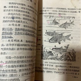 高级小学试用课本农业常识1-4珍藏50年代