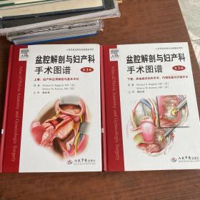 盆腔解剖与妇产科手术图谱（上下卷）：其他相关妇科手术、内镜检查与内镜手术（第3版）