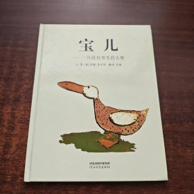 宝儿：一只没有羽毛的大雁（启发精选国际大师名作绘本）