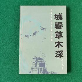 城春草木深（大32开长篇小说）