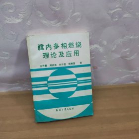 膛内多相燃烧理论及应用