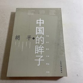中国的眸子