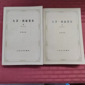 大卫·科波菲尔 上下两册