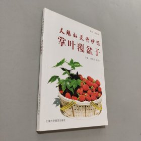 天赐的灵丹妙药，掌叶覆盆子