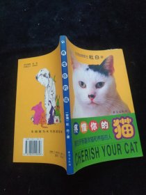 疼惜你的猫