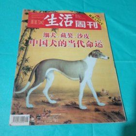 三联生活周刊 2006年第6期（细犬、藏獒、沙皮 中国犬的当代命运）期刊杂志