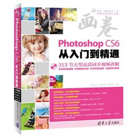 Photoshop CS6从入门到精通（313节大型同步自学视频，海量精彩实例、多种商业案例、超值学习套餐，汇集功能、技巧、应用、经验，超细、超全、超好学、超漂亮）（含1DVD）