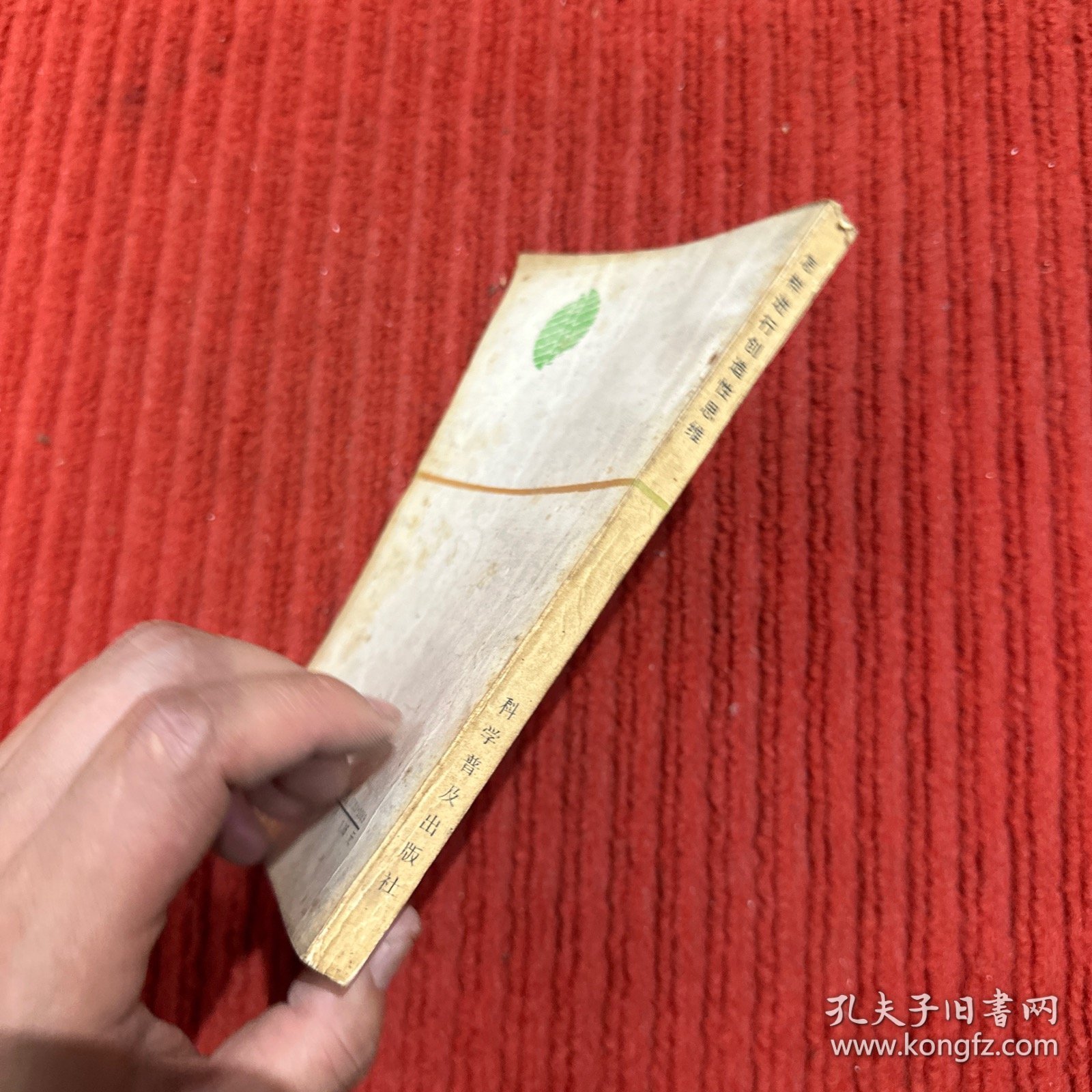 效率译丛：怎样进行创造性思维