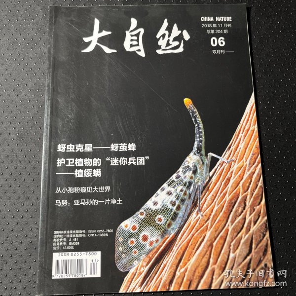 大自然2018年11月刊
