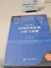中国经济形势分析与预测2019版