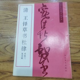 清 王铎草书杜律并枯兰复花赋