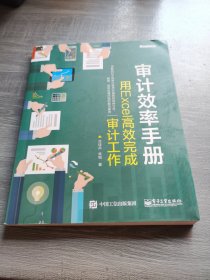 审计效率手册：用Excel高效完成审计工作