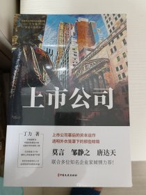 上市公司（中国专业作家作品典藏文库.丁力卷）