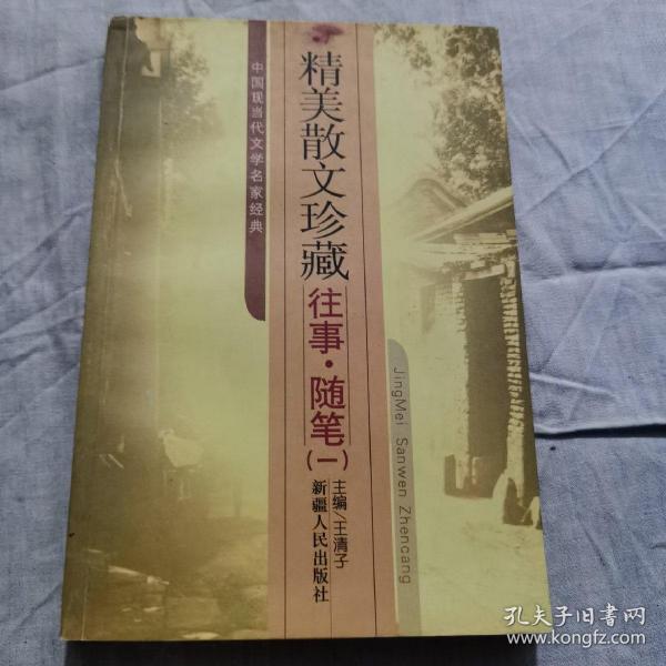 中国现当代文学名家经典:后花园 (平装)