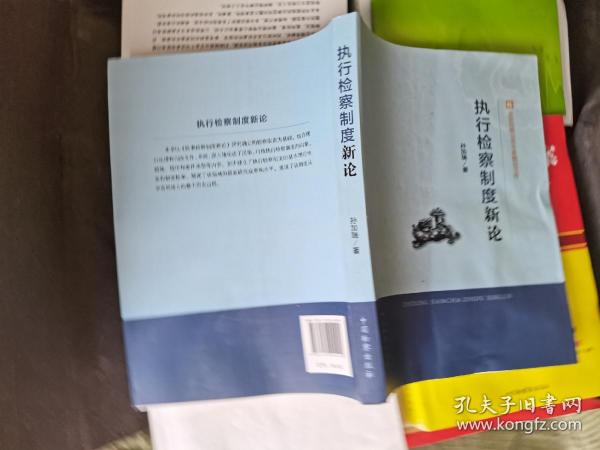 全国检察业务专家精品文库：执行检察制度新论 无使用