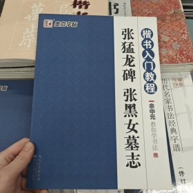 墨点字帖·余中元教你学书法：张猛龙碑张黑女墓志（楷书入门教程）