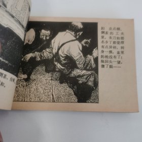 精品连环画：《黄水大队》