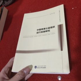 中国草根公益组织运行机制研究