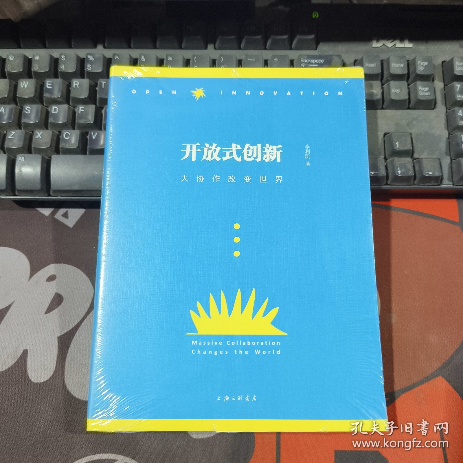 开放式创新：维基大协作改变世界与未来（原塑封）
