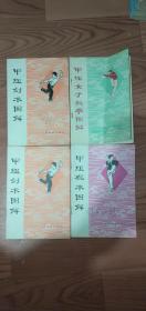 甲组女子长拳图解十甲组剑术图解十甲组剑术图解十甲组棍术图解合售