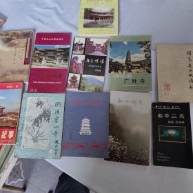 旅游书11本合售