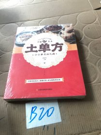 土单方   中医书籍养生偏方大全民间老偏方美容养颜常见病防治 保健食疗偏方秘方大全小偏方老偏方中医健康养生保健疗法