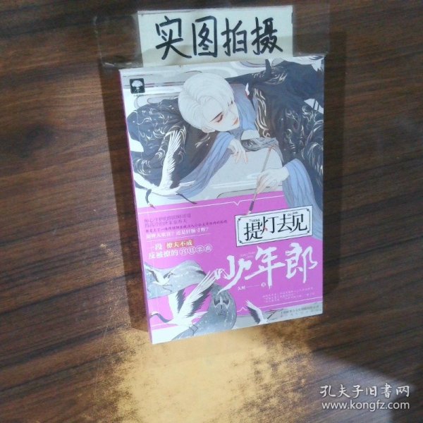 提灯去见少年郎