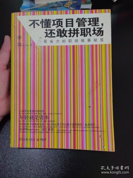 不懂项目管理，还敢拼职场：最省力的职场做事秘籍