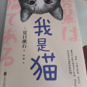 我是猫