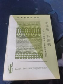 小说是一种需要：拉丁美洲文学丛书·拉美作家谈创作