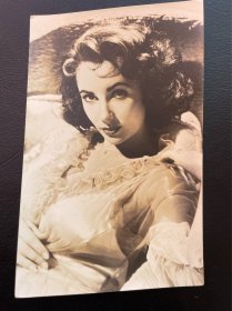 五十年代，好莱坞超级巨星伊丽莎白泰勒老照片。长13.5厘米，宽8.5厘米。4