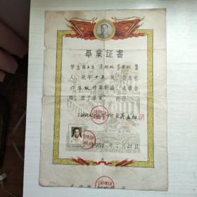 毕业证书 1958年