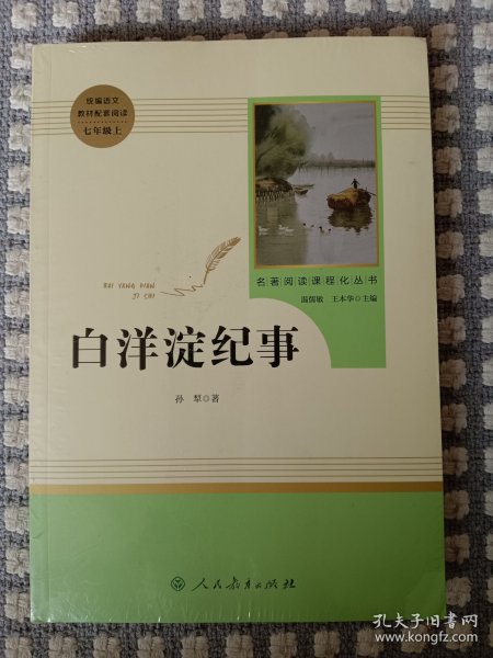 白洋淀纪事 名著阅读课程化丛书（统编语文教材配套阅读）七年级上