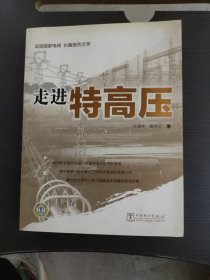 走进国家电网 长篇报告文学：走进特高压