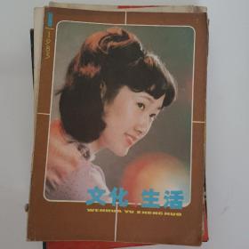 文化与生活1985－1