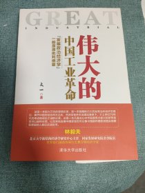 伟大的中国工业革命：“发展政治经济学”一般原理批判纲要